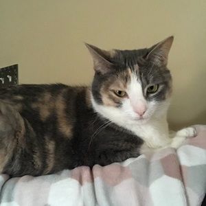 Meet your Posher, Dorothy